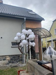 U Skleněného stromu