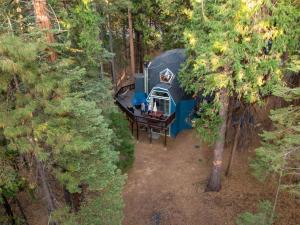 Secluded Dome Rental Surrounded by Stunning Nature near Arnold, California