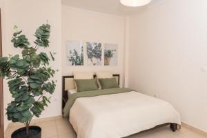 The Olive & Moon Welcome