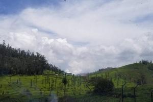 Bagaan - Tea Plantation Stay, Ooty