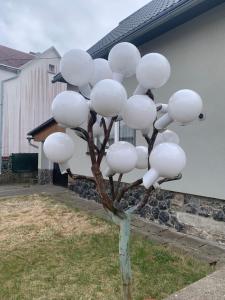 U Skleněného stromu