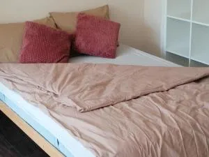 SwissResidente u parku - Bukorovac