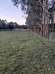 Chalé copo de leite - Correia Pinto