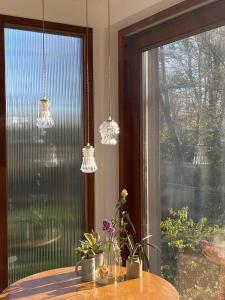 City house with parkside view