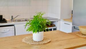Appartements Joli T2 avec jardin proche du chateau d-Arcangues : photos des chambres