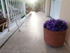 Appartamento Centralissimo