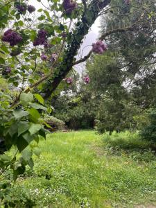 Appartements Comfort & Design Apartment in Orleans : photos des chambres