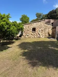 Bergerie CASEDDU U CHJASSU - Foce