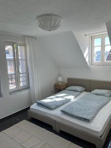 Charming apartment central in Lucerne