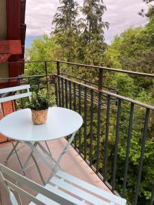 Charming apartment central in Lucerne