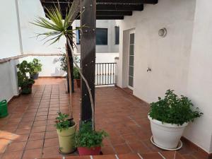 Casa MM Fuengirola Beach