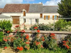 Maison dans les vignes - proche Chenonceau Beauval - Le Liège