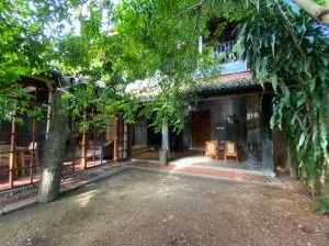 Golden Palm Villa - Badulla