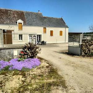 Maisons de vacances Maison dans les vignes - proche Chenonceau Beauval : photos des chambres