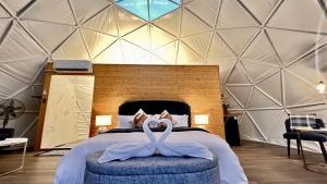 Sublime Glamping Dome in Texas for Memorable Vacations in Burnet