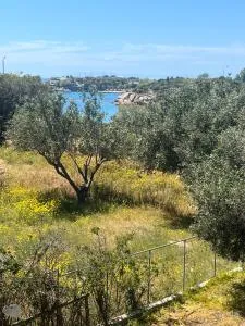 Lagonisi 1 - 卡利维亚索里库