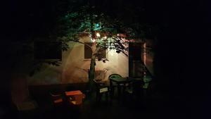 Siófok - a nice little house in the green