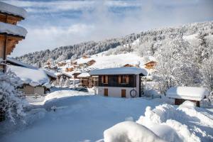 Studio 4 personnes Chalet Tournier