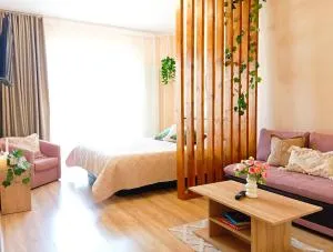 Apartament NyX - Tăuţii