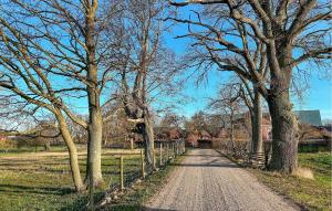 1 Bedroom Cozy Home In Bergkvara