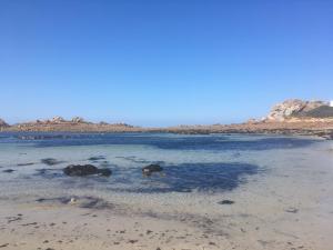 Maisons de vacances Plages & GR 10 min a pied - grande maison calme : photos des chambres