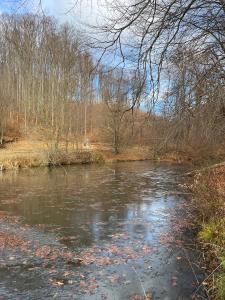 Pénzpataki Vadászház