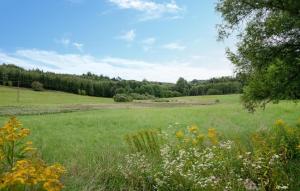Amazing Home In Gietrzwald