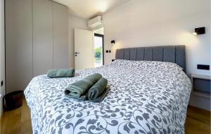 Amazing Home In Liznjan 