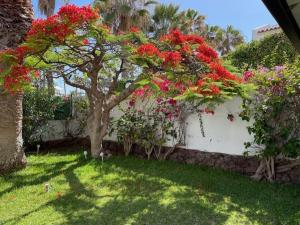 Parque Santiago 1- 2Bed , relax garden
