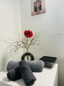 Maisons de vacances Maison des Pins - Jardin, calme et plage - Lock-inn : photos des chambres