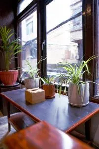 Mahaaja Homes and Restaurant - Heṭauḍā