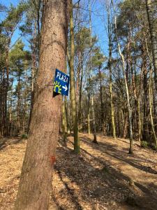 Blue apartment A, Dębina