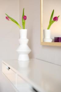 Todd Crag - Amazing Views