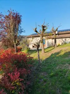 La Bottega di Torreluca - Scoppieto