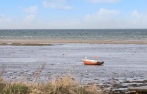 3 Bedroom Beautiful Home In Allingåbro