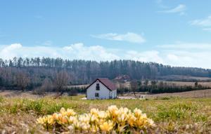 Amazing Home In Gietrzwald With Wifi