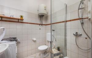 Awesome Apartment In Cesarica With Wifi 