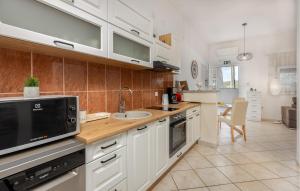 Awesome Apartment In Cesarica With Wifi