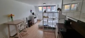 Studio close to train station - 锡萨赫