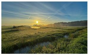 Camping De Stadsgaten