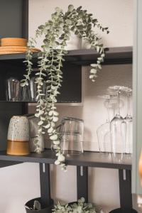 Black Forest Flower Apartment