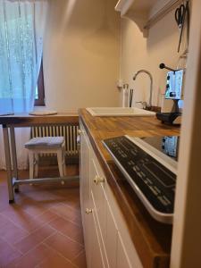 Stirpe nel Bosco - Allocco