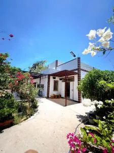 Cát Tiên garden Mui Ne - 伊缇天福