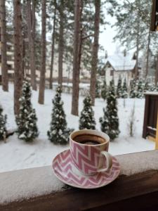 Apartman Freedom Zlatibor