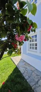 Ericeira -Oceonview Villa with Pool and Whirlpool - Arrebenta