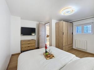 Appartements Garden Appartement- Paris - Blanc Mesnil : photos des chambres