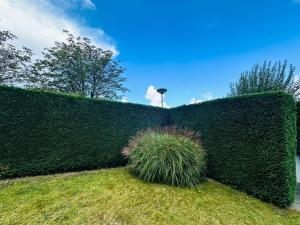 Kustverhuur, Park Schoneveld Duinroos 131