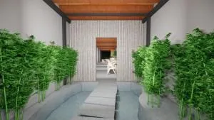 Five Elements - Butterworth