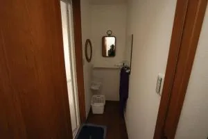 シニア婚活ゲストハウス富士山オモテナシ - Fudžijošida