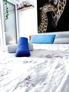 Estudio Mare Verde Vista Picina